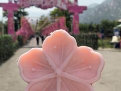 -北京凤凰岭