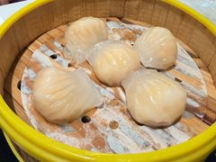 -琬苑鸽庄·川粤融合菜(解放碑总店)