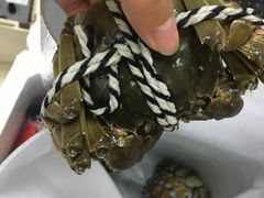 -喜洋洋蟹庄(阳澄湖店)