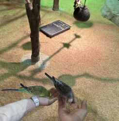 点击看大图 -酷嗒动物文化乐园(cutezoo西溪乐天城店)