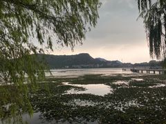 -鸣鹤古镇