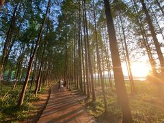 -云龙湖旅游景区