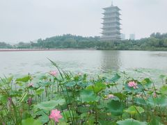 -西安世博园