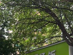 -温记府廟豆汤饭·始于1955年(海椒店)