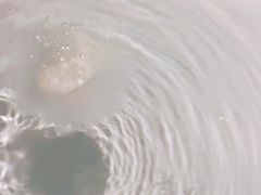 -国际青年会议酒店