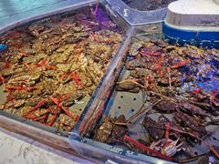 -澜悦港海鲜体验主题餐厅