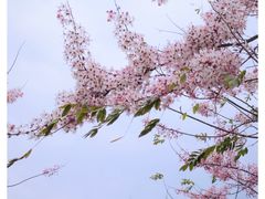 -白石龙音乐公园