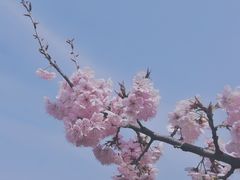-江南大学(蠡湖校区)