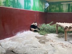 -杭州野生动物世界