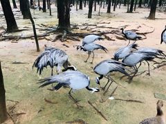 -鄱阳湖国家湿地公园