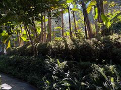 -腾冲洞山温泉村