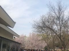 -廣味潮鲜·一品潮滋味(五道口店)