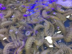 -澜悦港海鲜体验主题餐厅