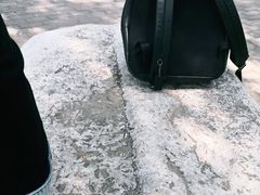 -望湖公园