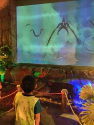 -恐龙探索乐园(磁器口店)