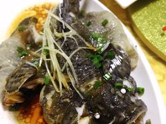 清蒸老虎斑-明记海鲜美食老字号(明记总店)