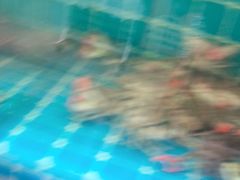-锅老头铁锅炖•大锅蒸汽海鲜(韩乐坊店)