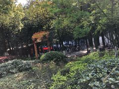 -白马涧龙池景区
