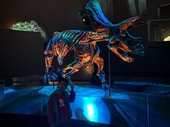 -墨尔本博物馆(Melbourne Museum)
