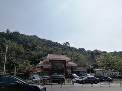-天鹿湖森林公园