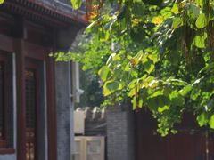 -护国法轮寺