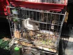 -锦尚阁烤鱼•天津菜(宣武门胡同店)