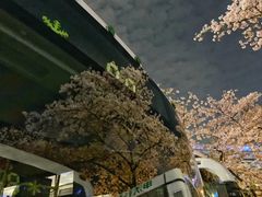 -上海南浦大桥长途旅游客运站