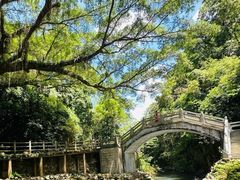 -广州市石门国家森林公园