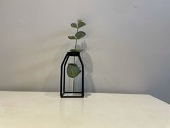 -参差咖啡(水果湖公园店)