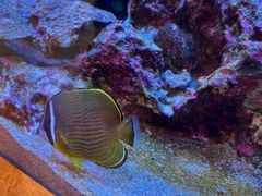 -西海国立公园九十九岛水族馆