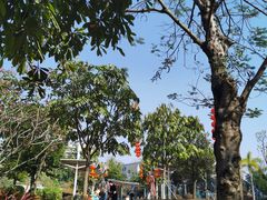 -荔湾区儿童公园