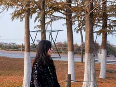 -滆湖低碳生态公园