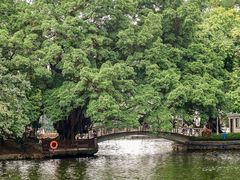 -荔湾湖公园