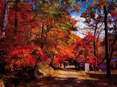 -丹东天桥沟景区