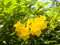 -晓港公园