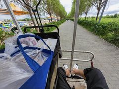 -呼兰河口湿地公园