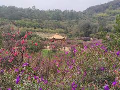 -南国桃园旅游度假区