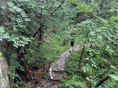 -青峰峡国家森林公园