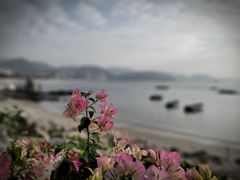 -深圳大梅沙京基洲际度假酒店