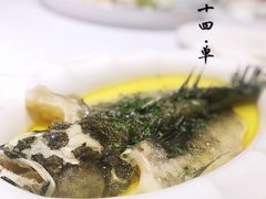 -二十四单 淮扬新味