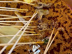 -徐妹串串香(春熙路店)