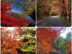 -关门山森林公园