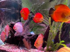 -上海海洋水族馆