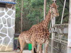 -泉州海丝野生动物世界