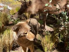 -陕西自然博物馆