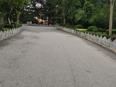 -青岛德国总督楼旧址博物馆