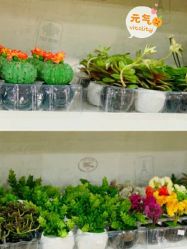 -汤姆小鸟(无锡宝龙广场店)