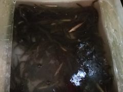 -老梅园大虾城(河西店)