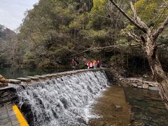 -石台牯牛降景区