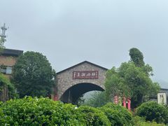 -千岛湖石林